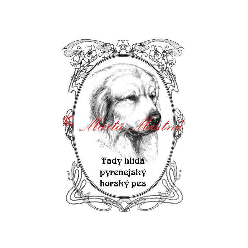 Tabulka pyrenejský horský pes