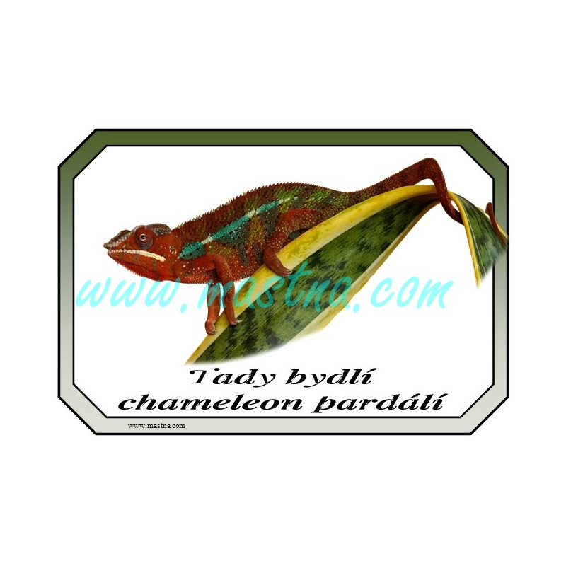 Chameleon pardálí cedulka