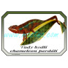 Chameleon pardálí cedulka