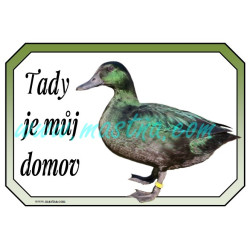 Kachnička smaragdová cedulka