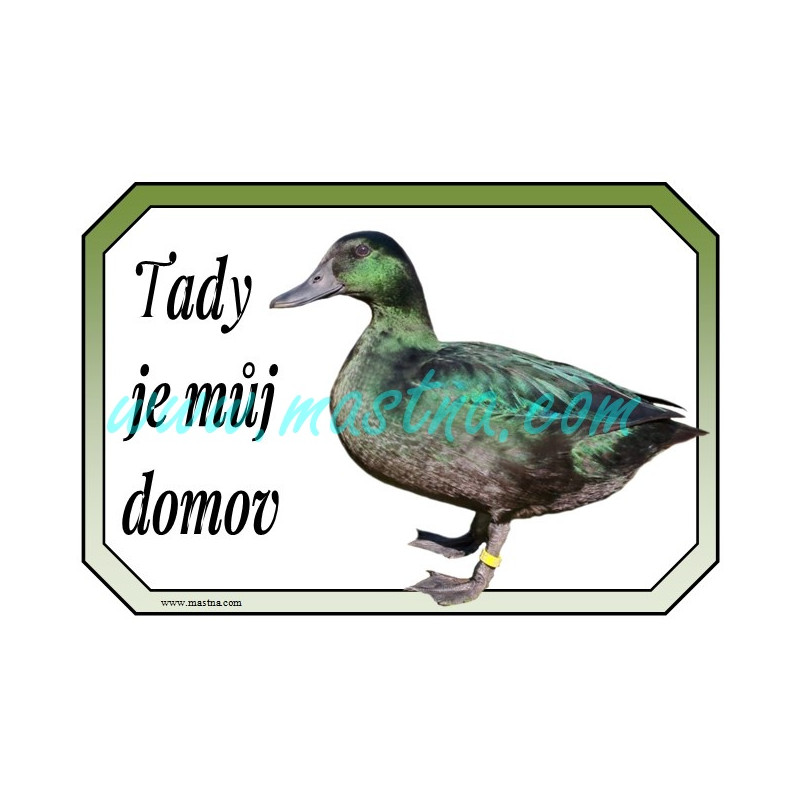 Kachnička smaragdová cedulka