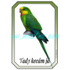 Papoušek nádherný cedulka