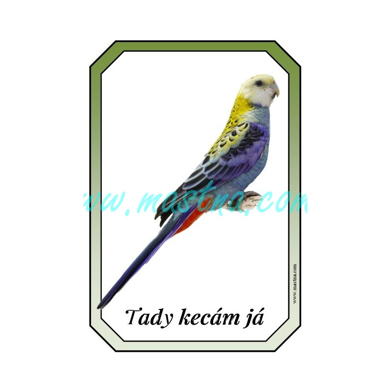 Rosela žlutohlavá cedulka