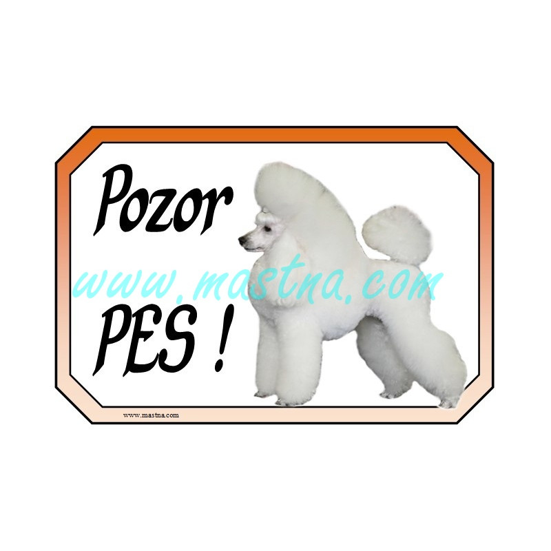 Pudl bílý cedulka pozor