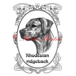 Tabulka rhodéský ridgeback