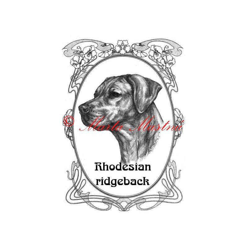 Tabulka rhodéský ridgeback