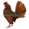 Sebritka zlatá, samolepka kohout, drůbež