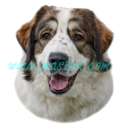 Samolepka tornjak 141