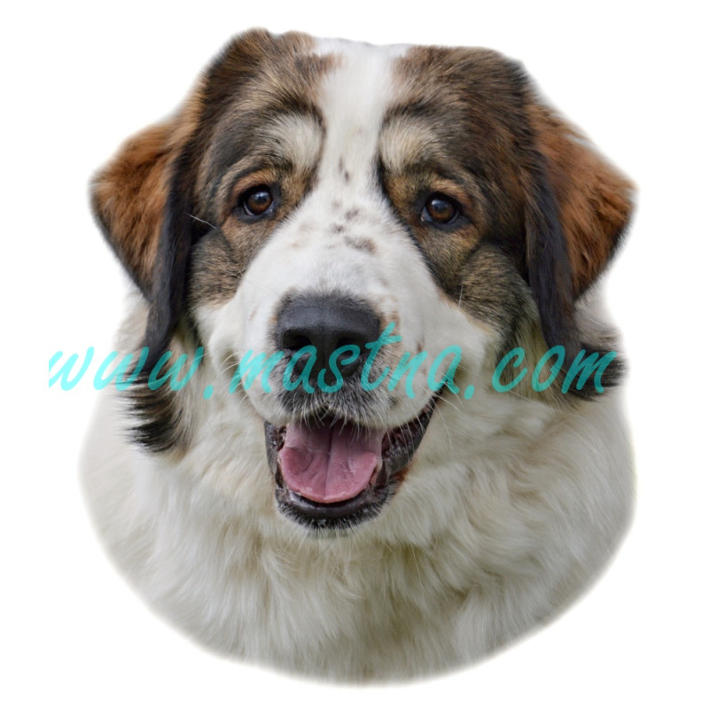 Samolepka tornjak 141