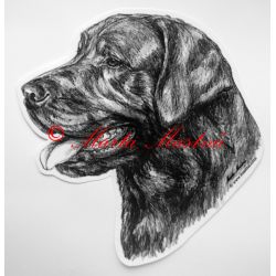 Samolepka labrador retrívr c344