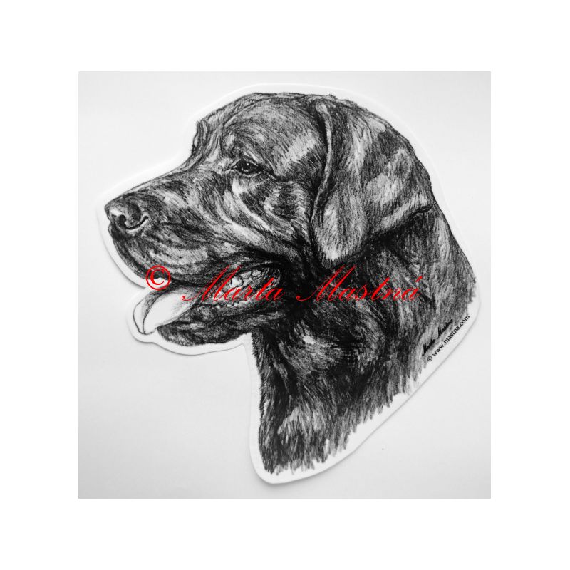 Samolepka labrador retrívr c344
