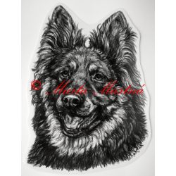 Samolepka chodský pes - archiv c476