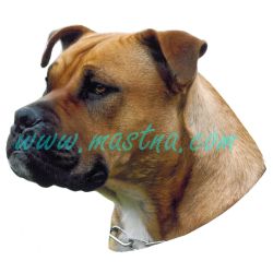 Samolepka presa malorka zlatá archiv