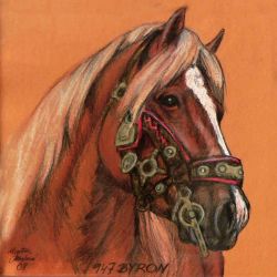 Suchý pastel  - ceník od