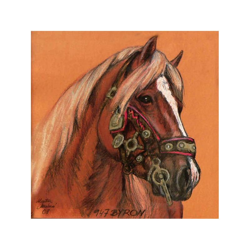 Suchý pastel  - ceník od