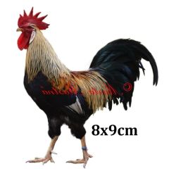 Malé samolepky různá zvířata, neblednoucí.