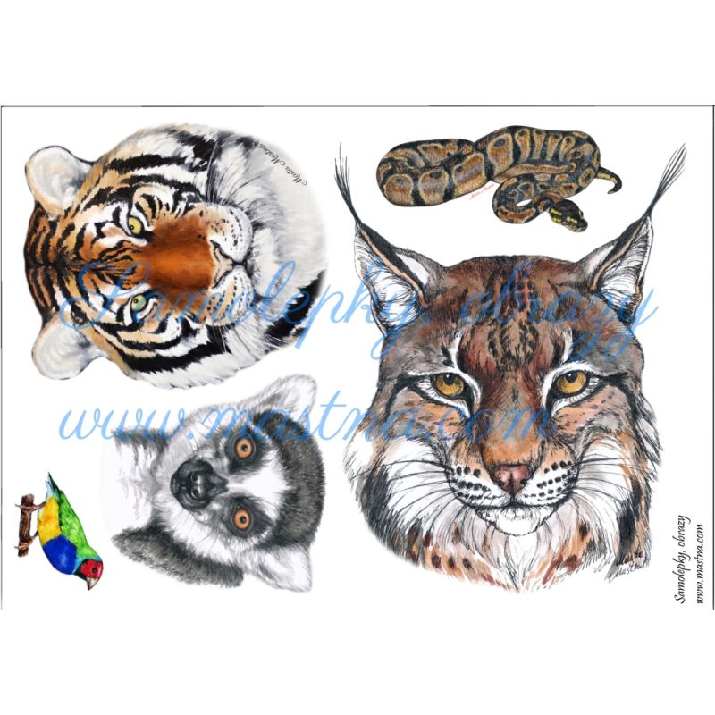 Nažehlovačky divoká zvířata aršík A5