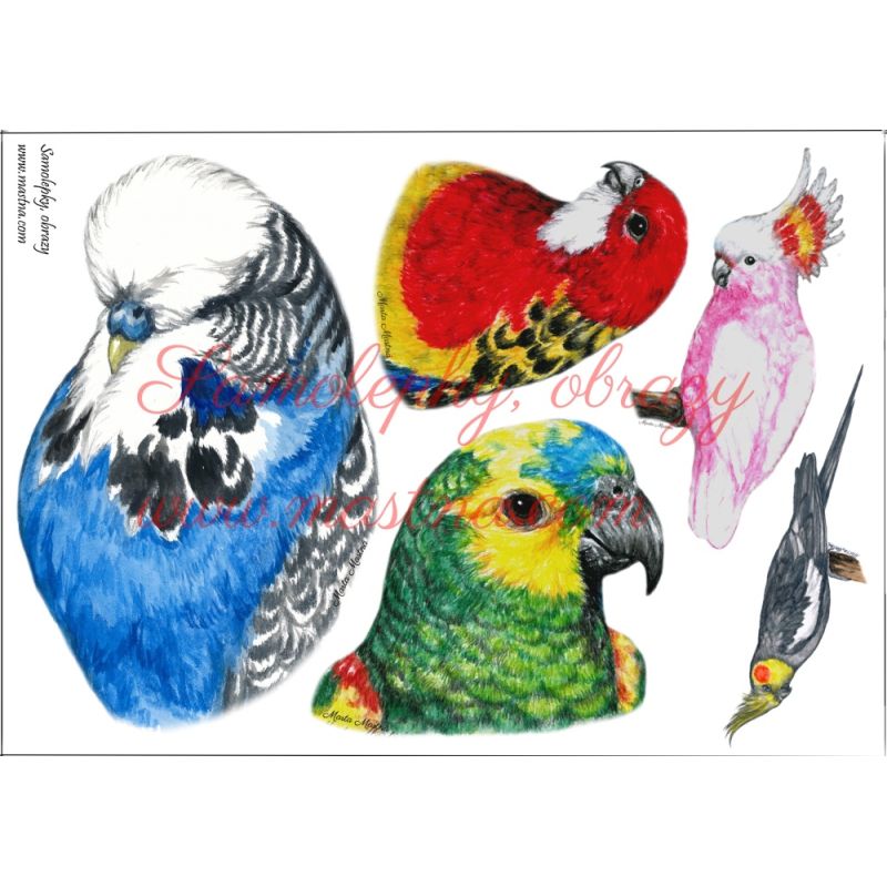 Nažehlovačky papoušci, aršík A5