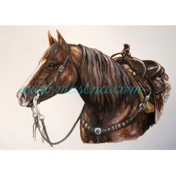 Obraz akvarel - hřebec quarter horse