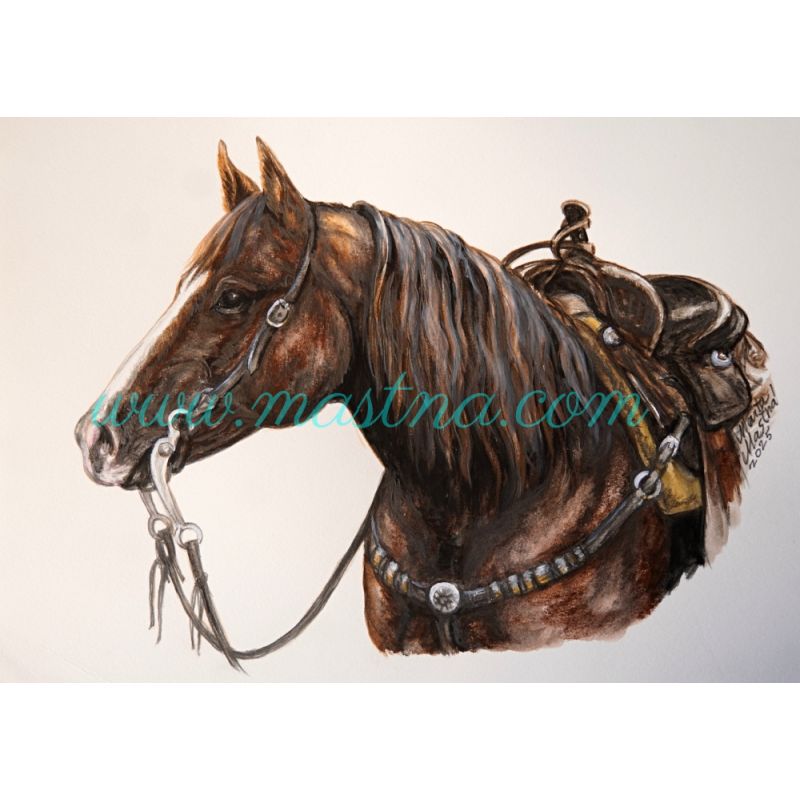 Obraz akvarel - hřebec quarter horse