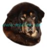 Samolepka tibetská doga, tibettan mastiff 143