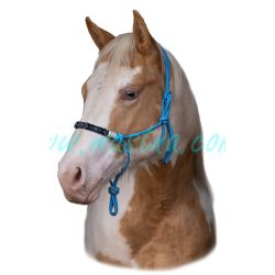 American Paint Horse, samolepka kůň, koně