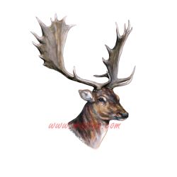 Daněk samolepka, zvěř