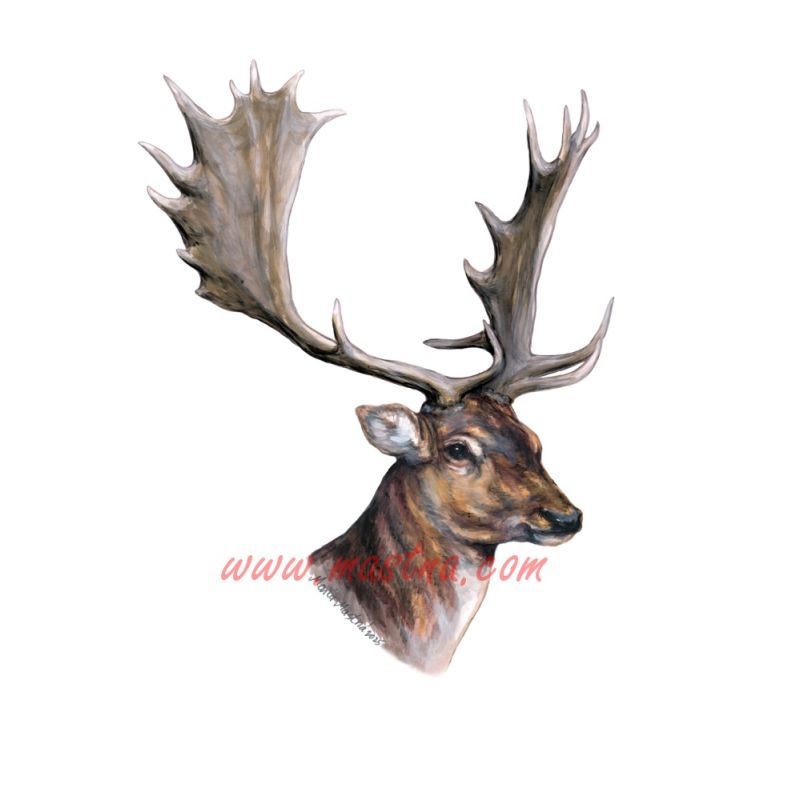 Daněk samolepka, zvěř