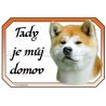 Akita inu cedulka domov