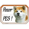 Akita inu cedulka pozor