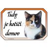 Kočka tříbarevná cedulka domov