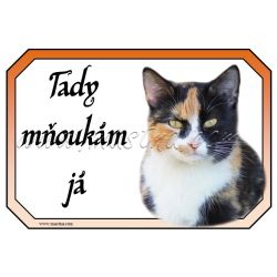 Kočka tříbarevná cedulka mňoukám