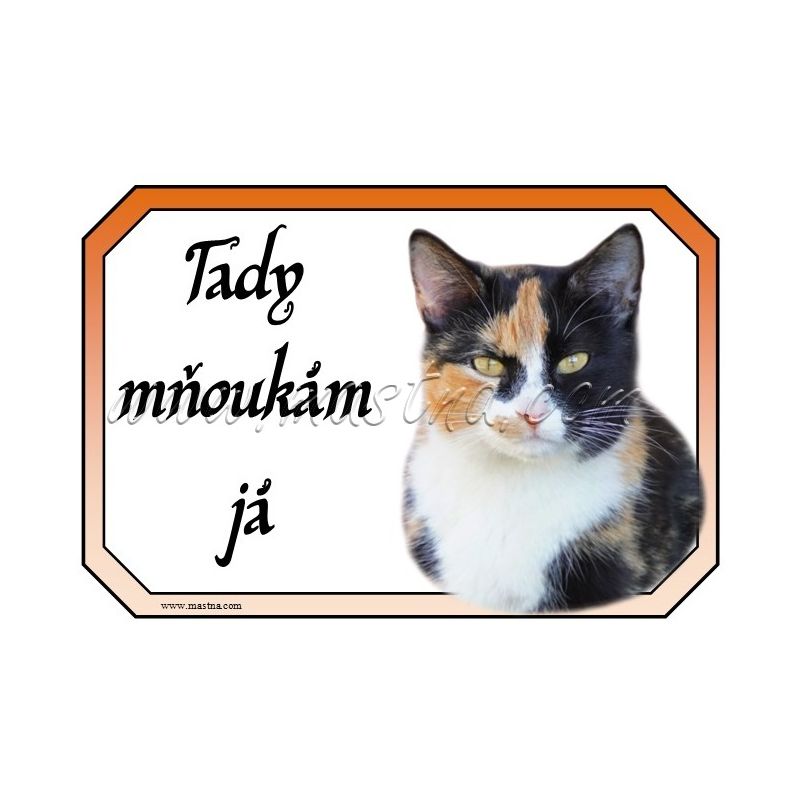 Kočka tříbarevná cedulka mňoukám