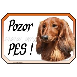 Jezevčík dlouhosrstý cedulka pozor