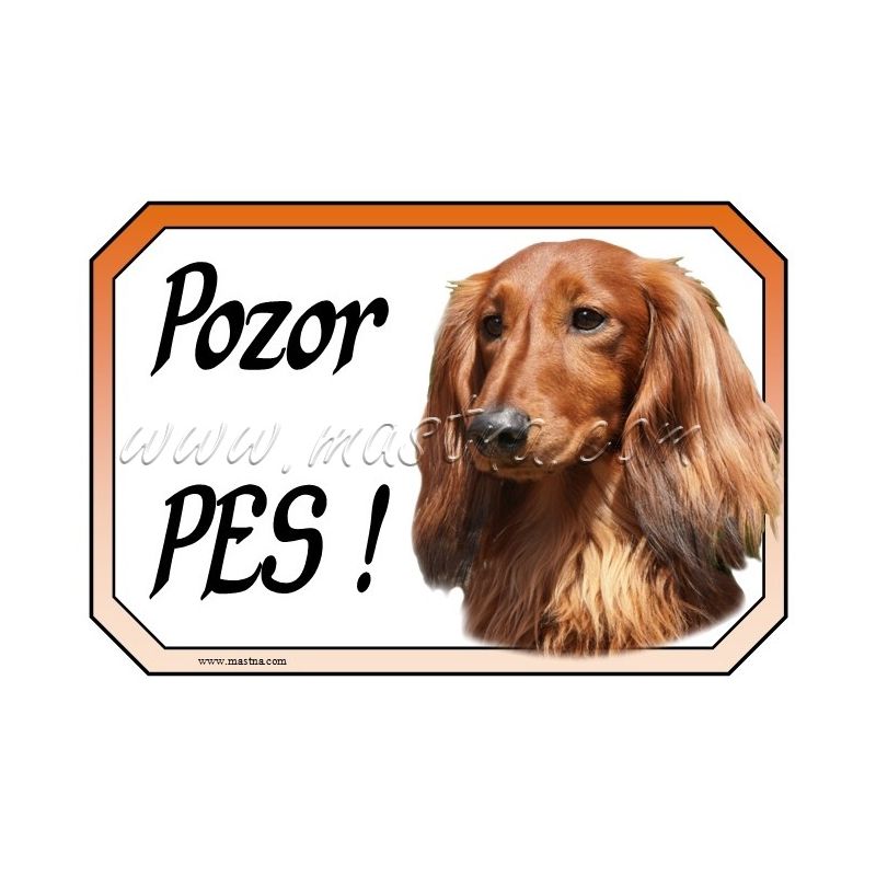 Jezevčík dlouhosrstý cedulka pozor