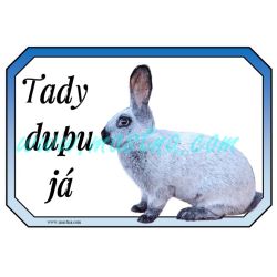 Králík francouzský stříbřitý, šampaňský, cedulka