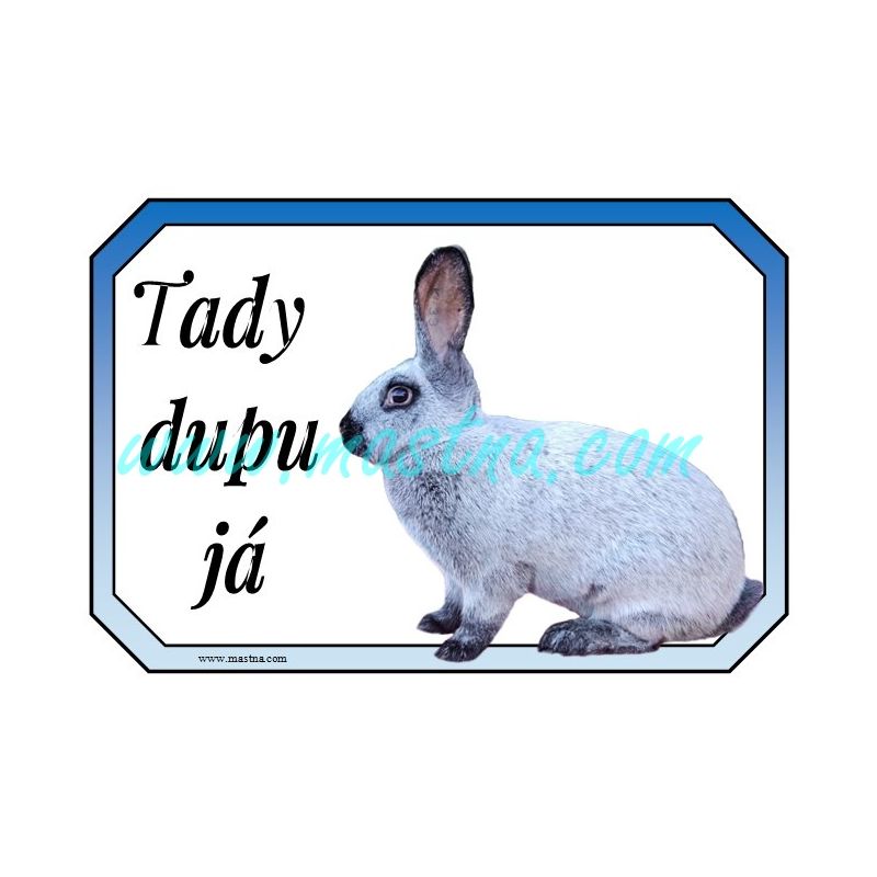 Králík francouzský stříbřitý, šampaňský, cedulka