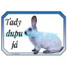 Králík francouzský stříbřitý, šampaňský, cedulka