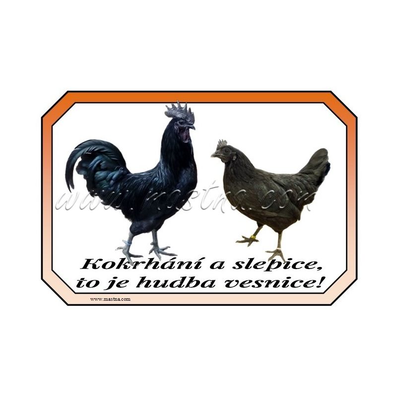 Ayam cemani drůbež, cedulka vesnice