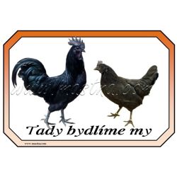 Ayam cemani drůbež, cedulka bydlíme