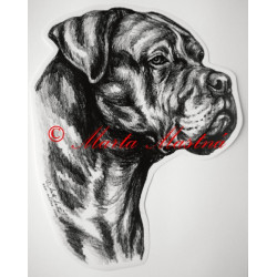 Cane corso