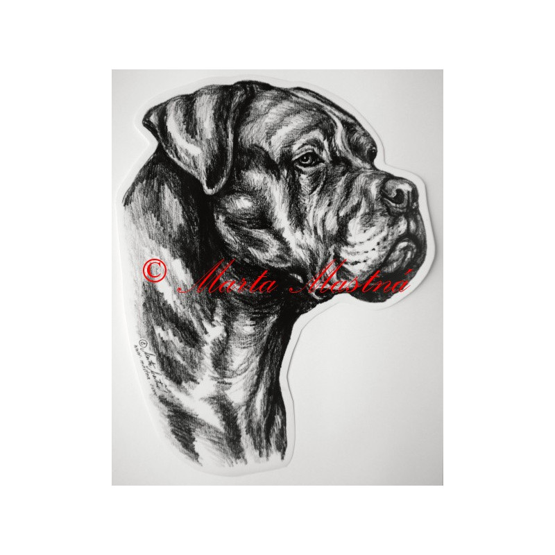 Cane corso