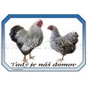 Vyandotka zdrobnělá stříbrná, drůbež, cedulka domov