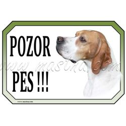 Cedulka pointr zlatobílý