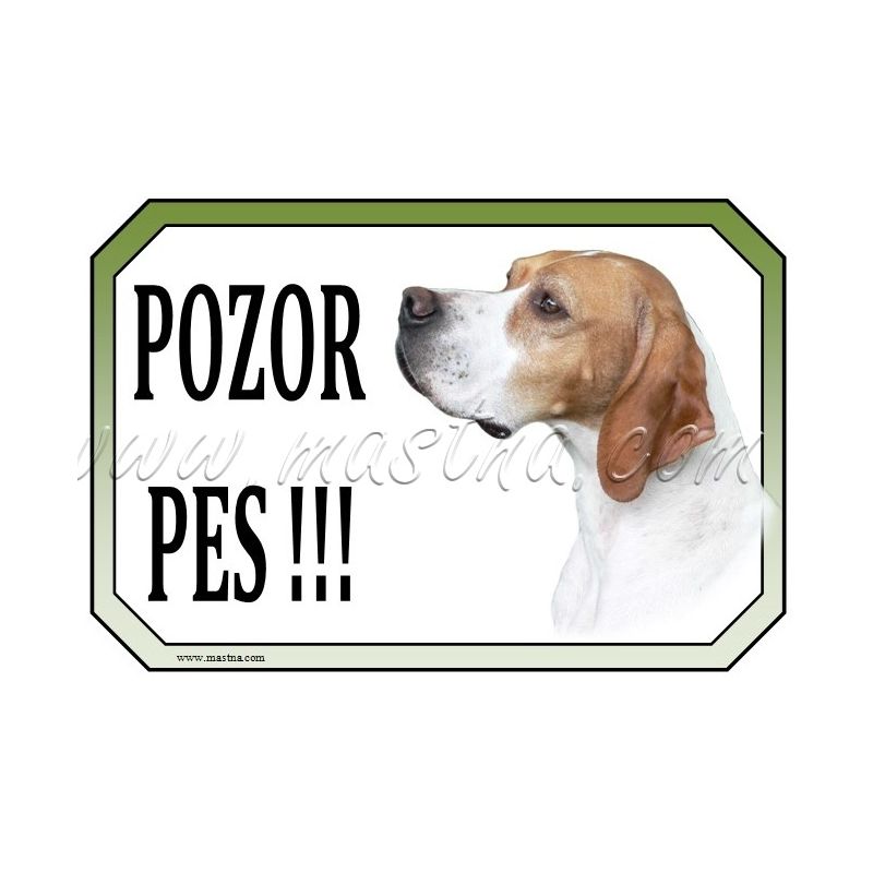 Cedulka pointr zlatobílý