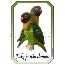 Papoušek agapornis cedulka domov