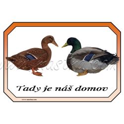 Kachna ruánská, drůbež, cedulka