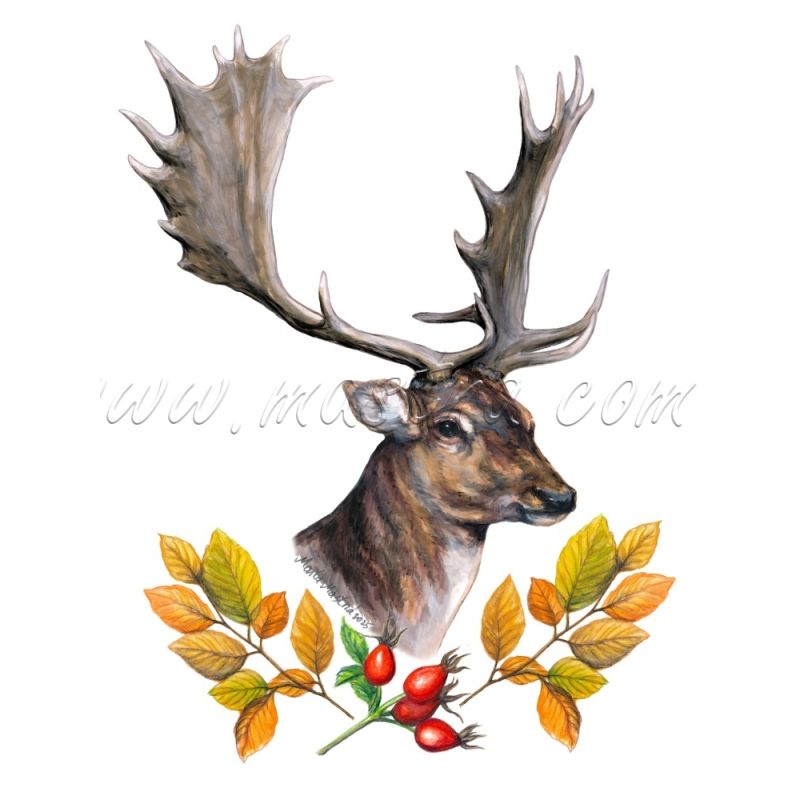 Daněk samolepka oboustranná, zvěř