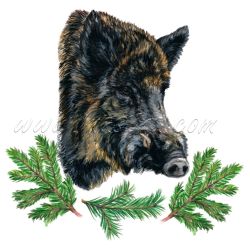 Divočák, prase, černá zvěř, samolepka oboustranná s větvičkami