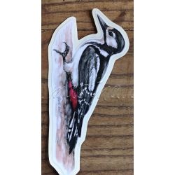 Strakapoud velký, samolepka oboustranná